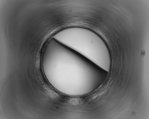 X0000101200446200806270833