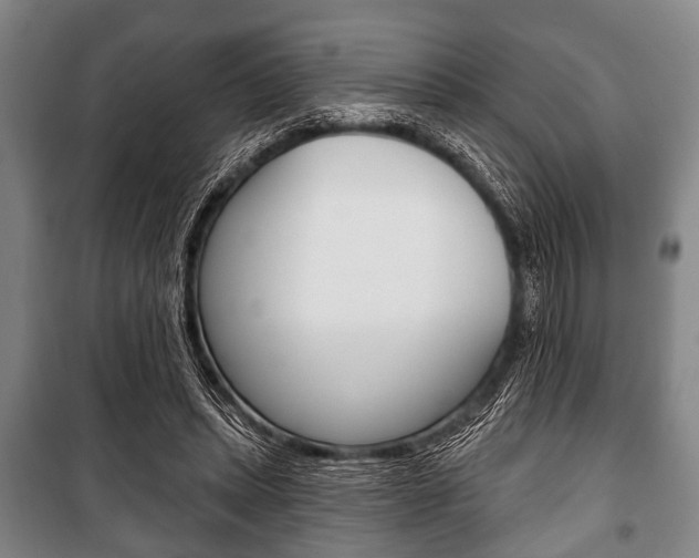 X0000101200447200806270833