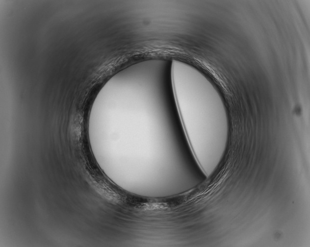 X0000101200451200806270833