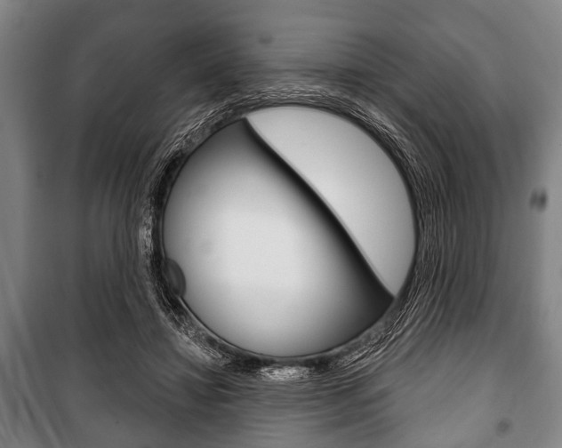 X0000101200452200806270833
