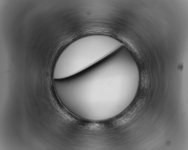 X0000101200453200806270833