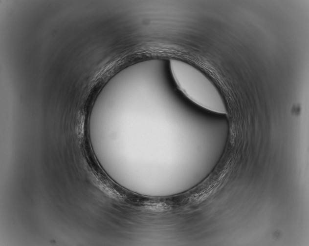 X0000101200454200806270833