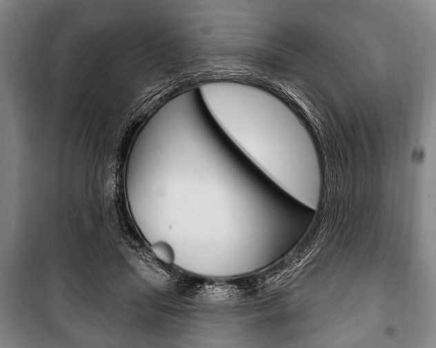 X0000101200455200806270833