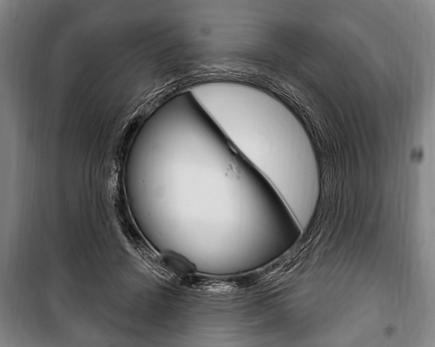X0000101200456200806270833