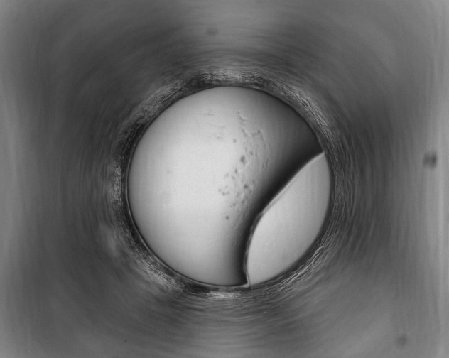 X0000101200457200806270833
