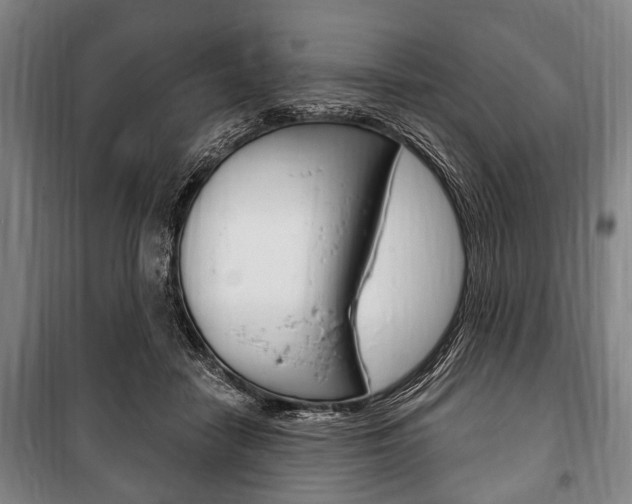 X0000101200458200806270833