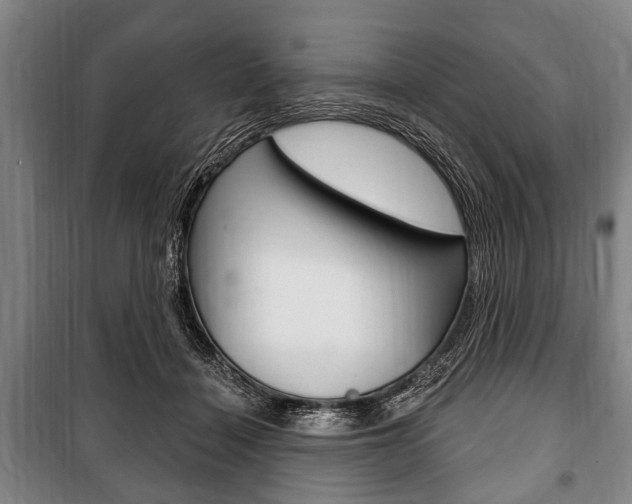 X0000101200460200806270834