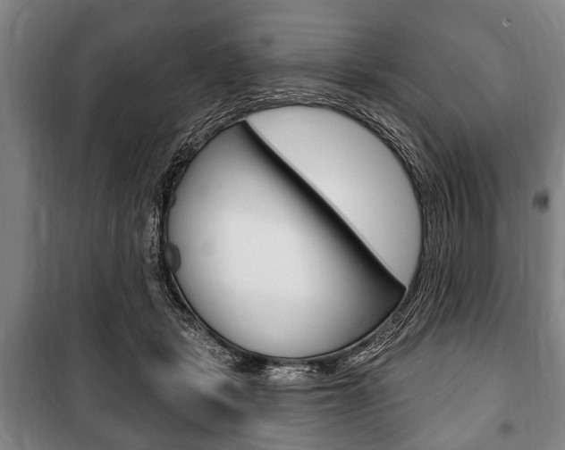 X0000101200461200806270834