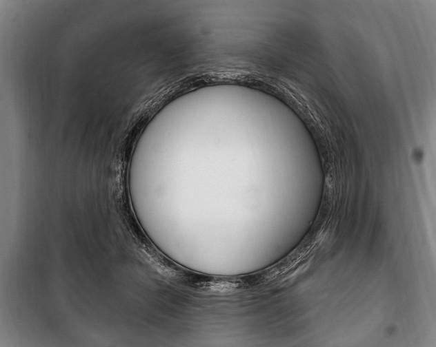 X0000101200462200806270834