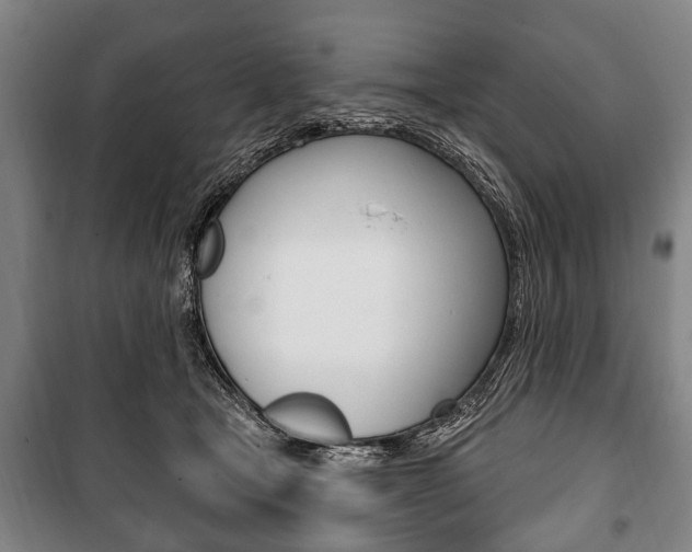 X0000101200465200806270834