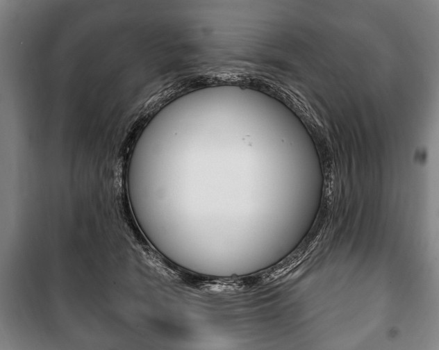 X0000101200466200806270834