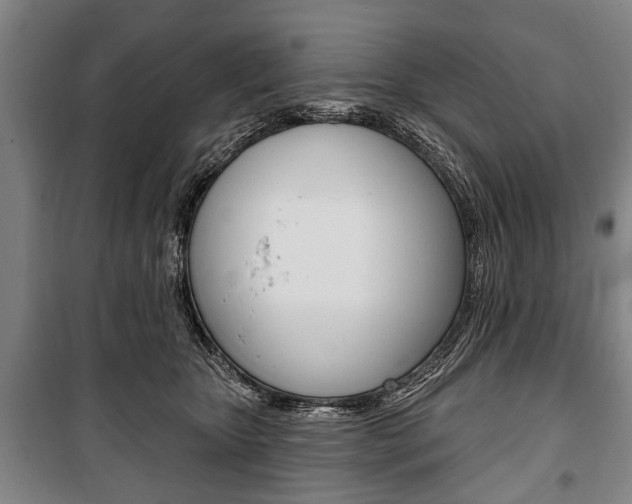 X0000101200467200806270834