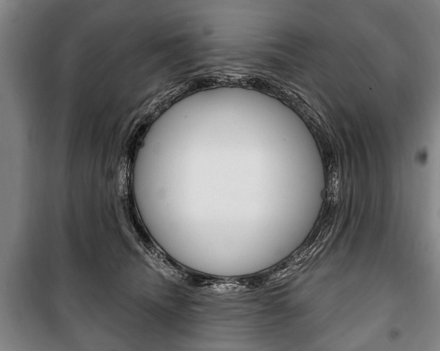 X0000101200468200806270834