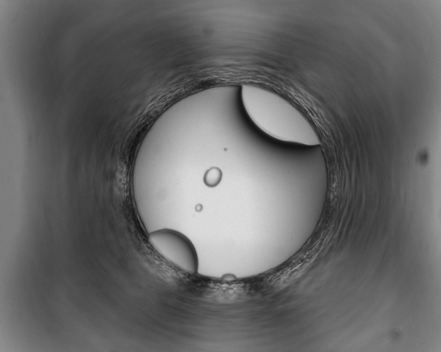 X0000101200469200806270834