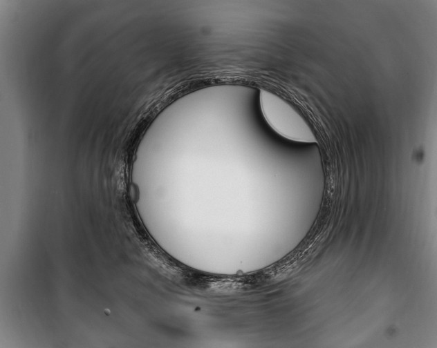 X0000101200470200806270834