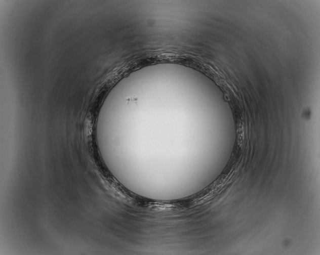 X0000101200472200806270834