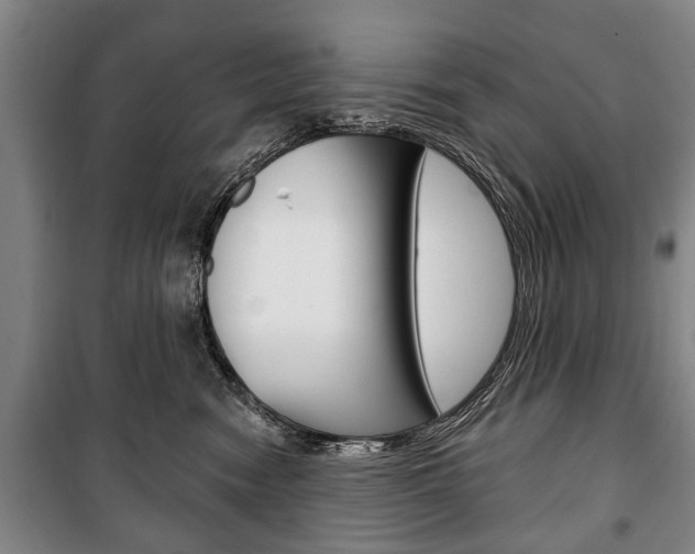 X0000101200474200806270834