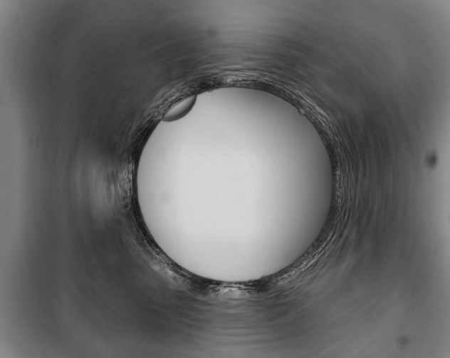 X0000101200475200806270834