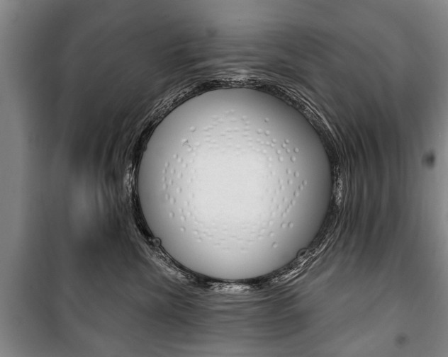 X0000101200476200806270834