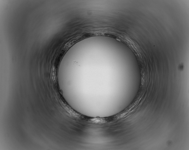 X0000101200477200806270834