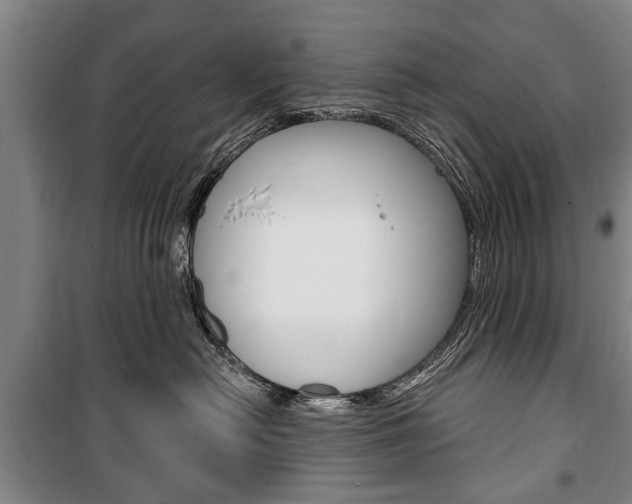 X0000101200478200806270834