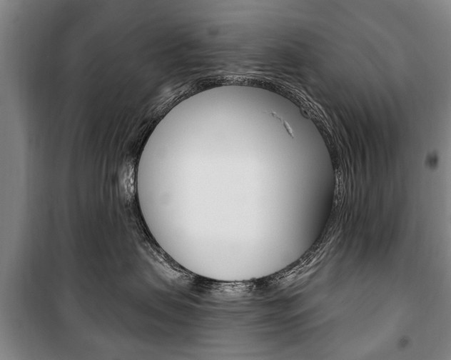 X0000101200479200806270834