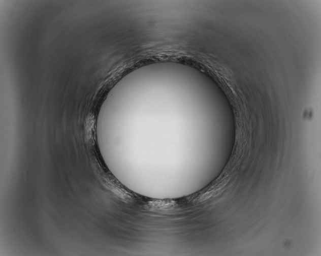 X0000101200480200806270834