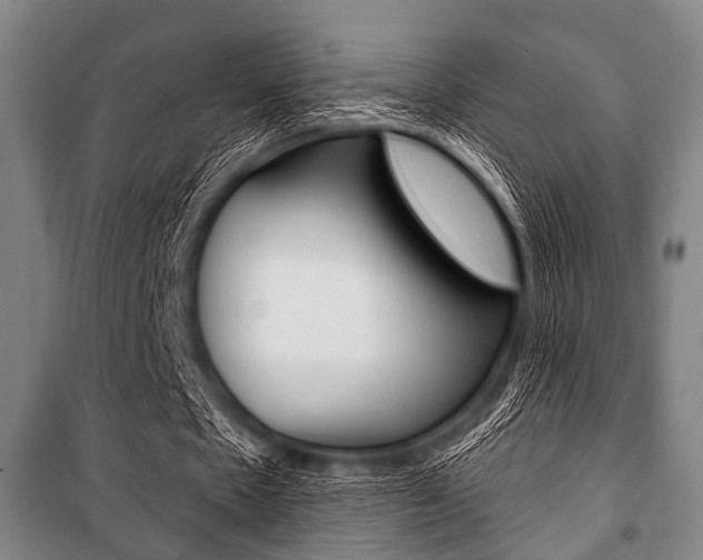 X0000101200481200806270833