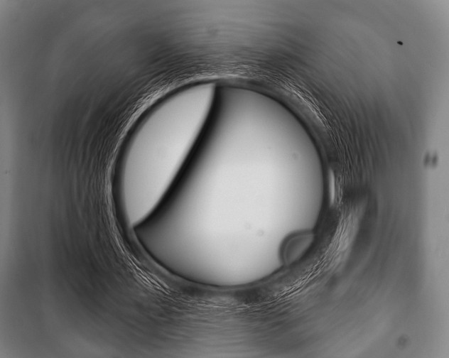 X0000101200483200806270833