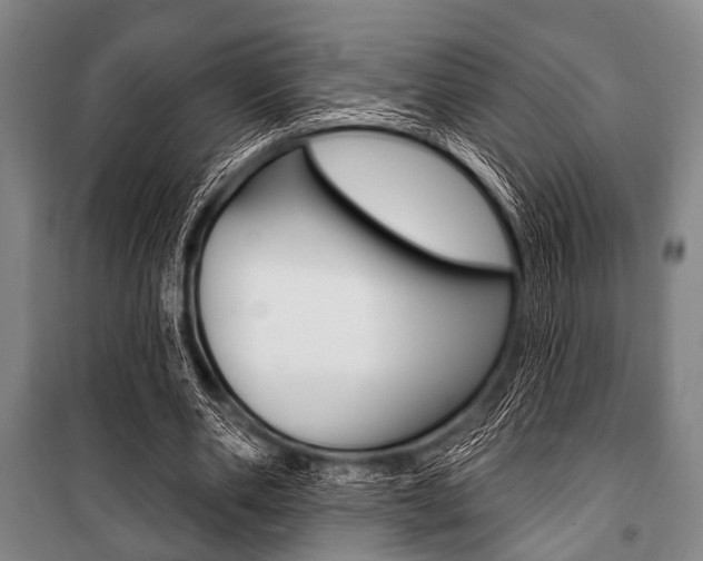 X0000101200486200806270833