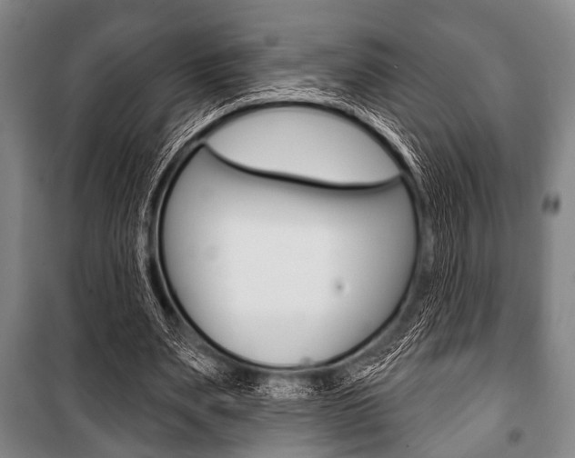 X0000101200487200806270833