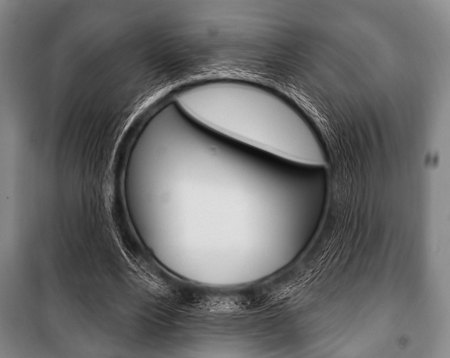 X0000101200488200806270833