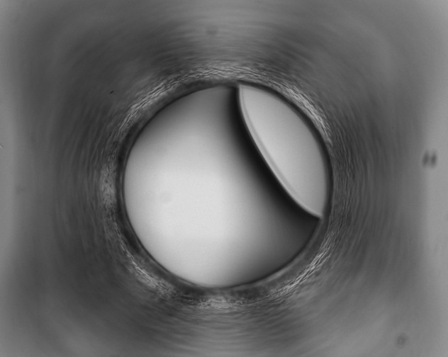 X0000101200489200806270833