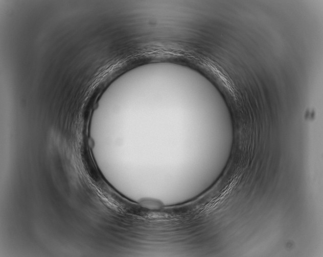 X0000101200490200806270833