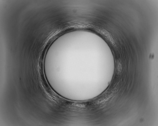 X0000101200491200806270833