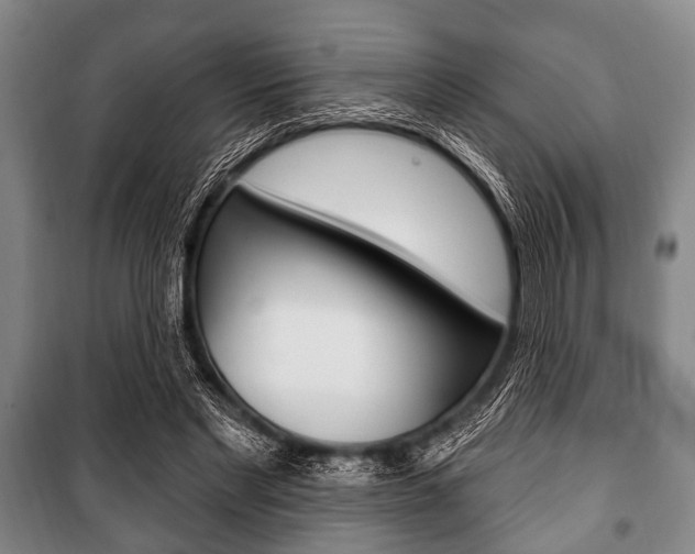 X0000101200493200806270833