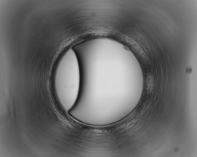 X0000101200494200806270833