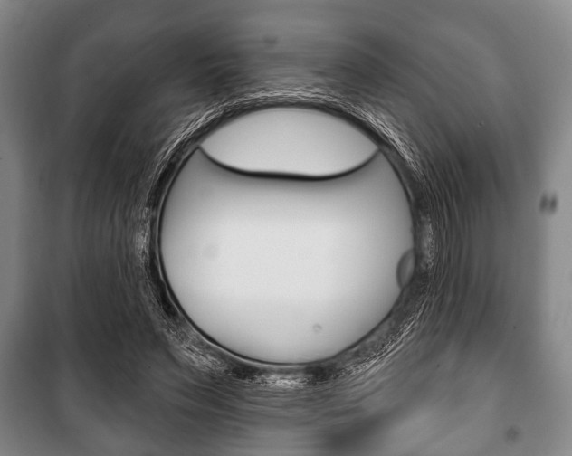 X0000101200495200806270833