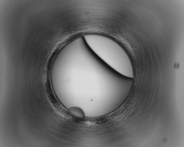 X0000101200496200806270833