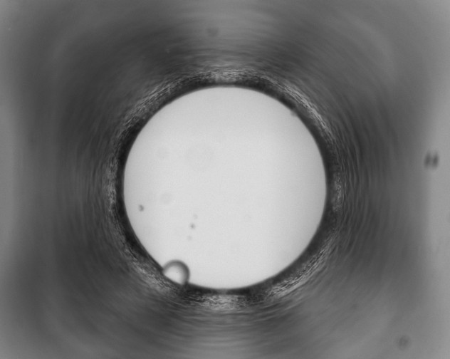 X0000101200497200806270833