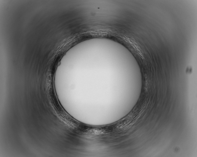 X0000101200498200806270833