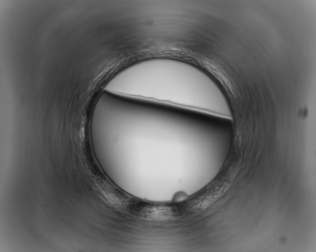 X0000101200501200806270833