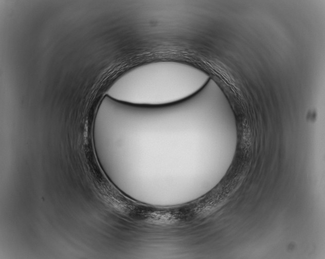 X0000101200502200806270833