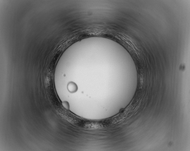 X0000101200503200806270833
