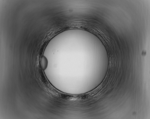 X0000101200504200806270833