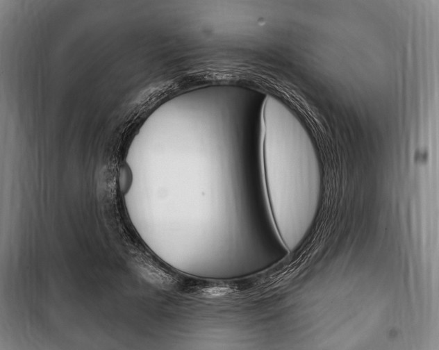 X0000101200505200806270833