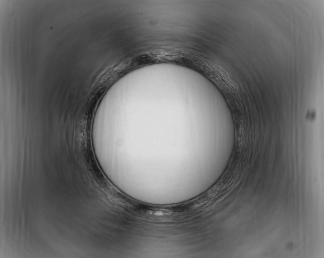X0000101200506200806270833
