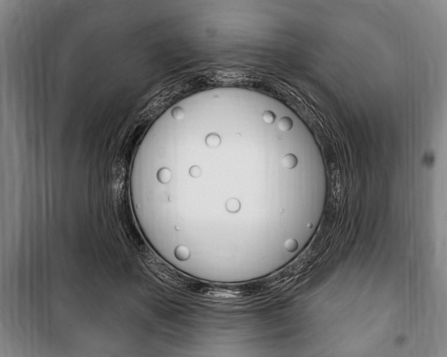 X0000101200507200806270833