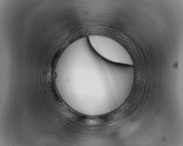 X0000101200510200806270833