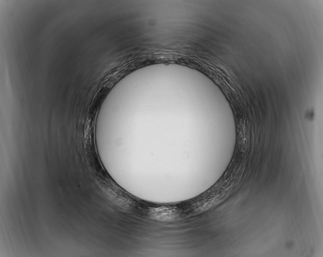X0000101200511200806270833